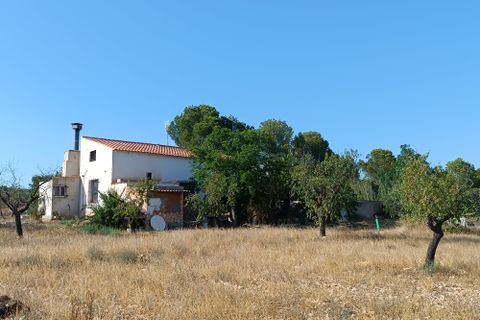 Landejendom i Yecla, Murcia, Yecla - € 195.000 | Ref: RP28 - foto 23